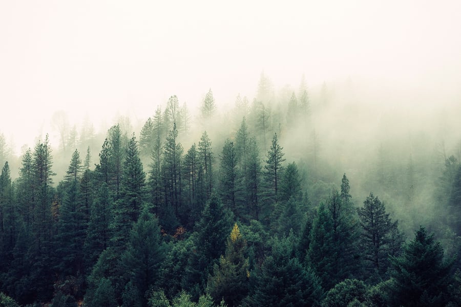 Clearing the Air on Advocacy (and Getting More Members Involved)