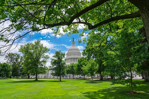 OSHA Tree Care Standard Gains Momentum