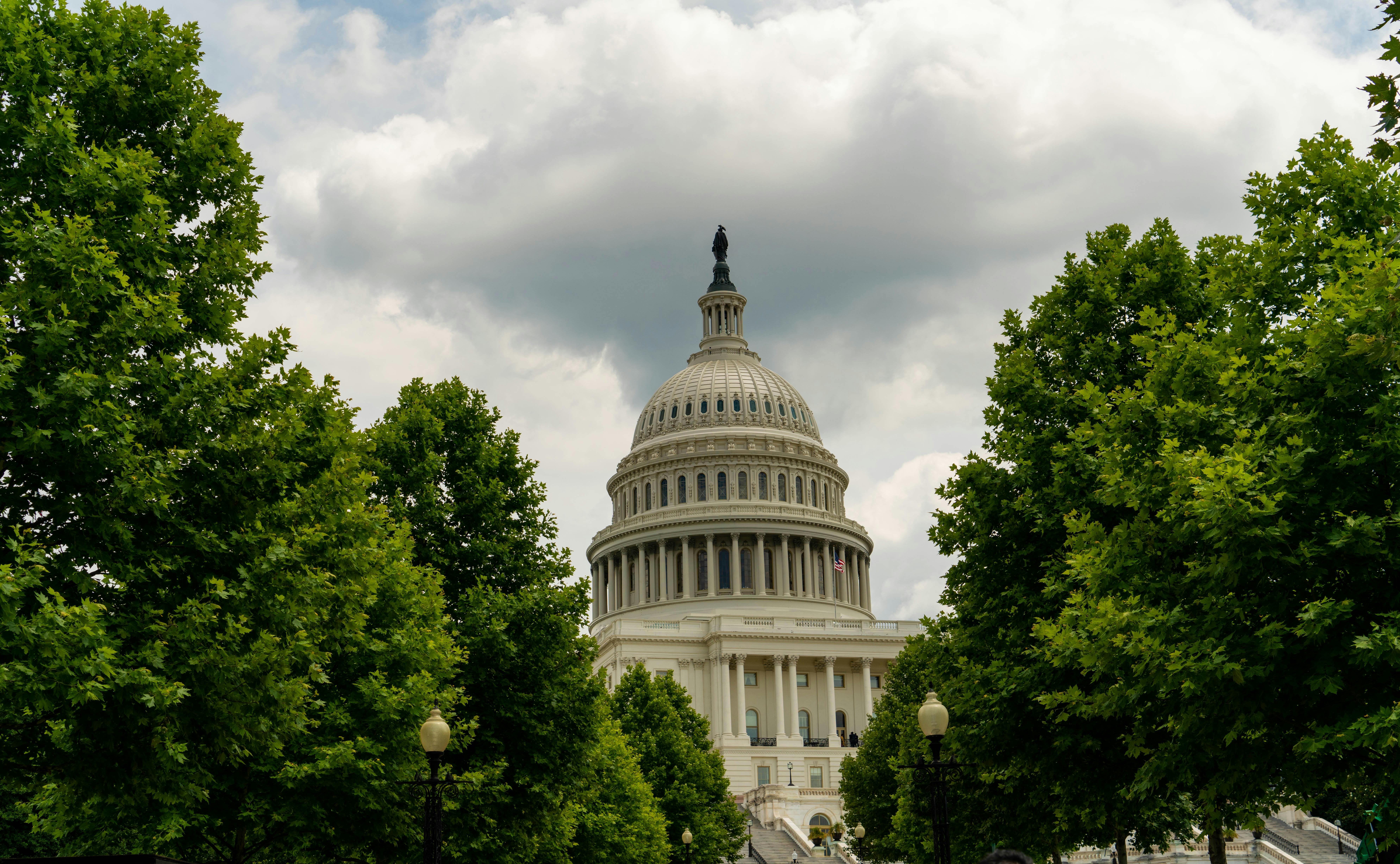 Capitol in Trees